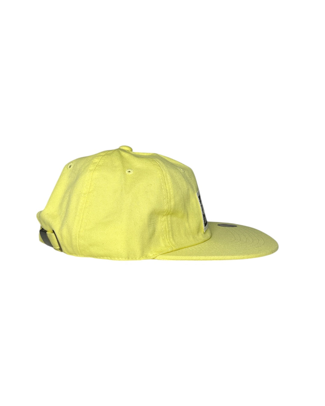 FLAT-BILL
