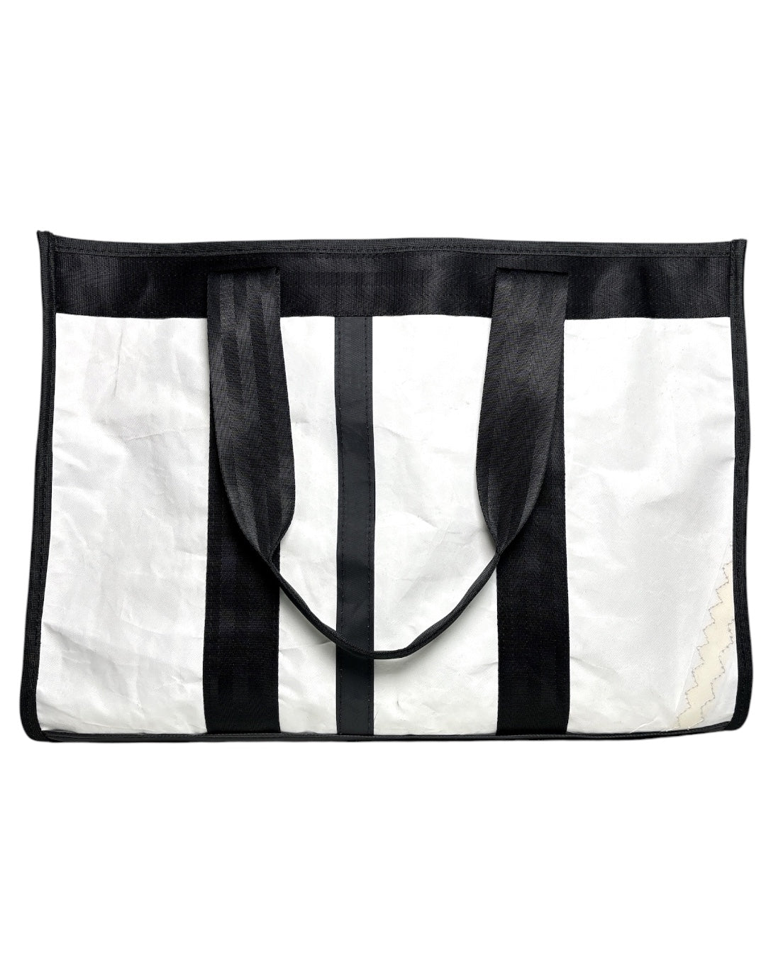 BEACH BUM (ZEBRA)